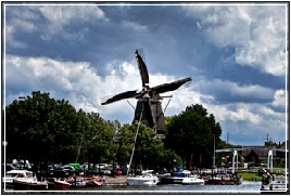 Qimarox sponsert Harderwijker Windmühle ‘De Hoop’